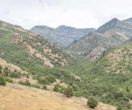View of mountain background