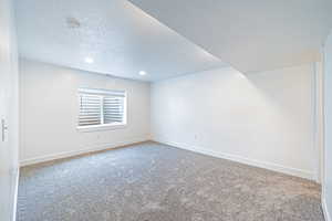 Additional living space featuring a textured ceiling, carpet flooring, and recessed lighting