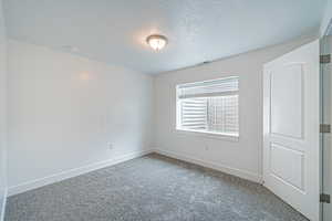 Unfurnished room featuring carpet and a textured ceiling
