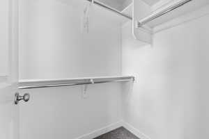 Spacious closet featuring carpet floors