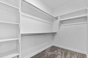 Walk in closet with carpet