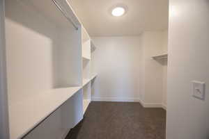 Walk in closet with dark carpet
