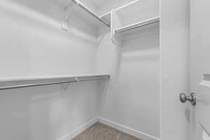 Spacious closet with carpet flooring