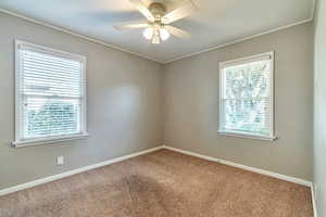 Spare room featuring carpet flooring, ornamental molding, plenty of natural light, and a ceiling fan