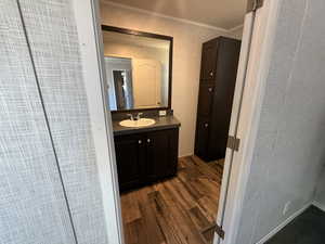 Bathroom featuring wood finished floors, crown molding, and vanity