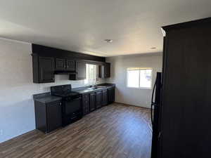 Kitchen featuring black range with gas cooktop, under cabinet range hood, dark wood finished floors, and dark countertops