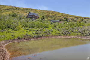 Water view with a heavily wooded area