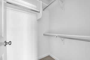 Walk in closet with carpet flooring