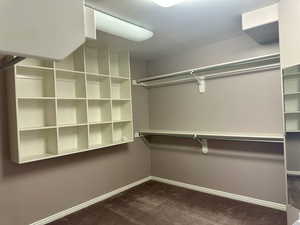 Primary bedroom's walk in closet featuring dark colored carpet and abundant shelving