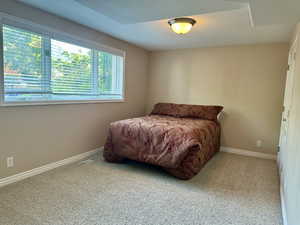 Carpeted bedroom with baseboards and abundant natural light