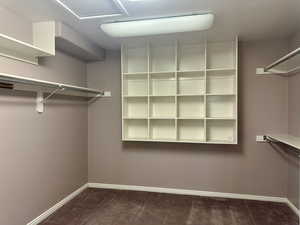 Another of the primary bedroom's spacious walk-in closets featuring dark carpet