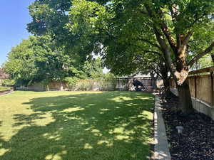 View of fenced backyard