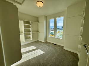 Walk in closet featuring carpet
