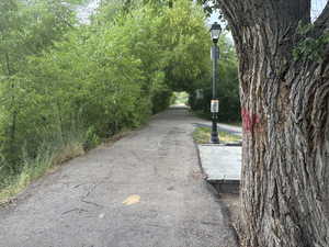 Park path along the river