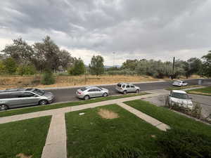 View of grassy yard