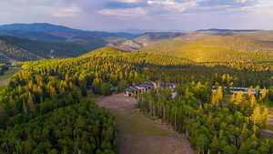Mountain view with a forest