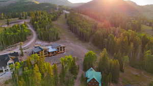 Drone / aerial view of a mountainous background and a heavily wooded area