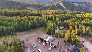 Aerial view of a mountain backdrop and a forest