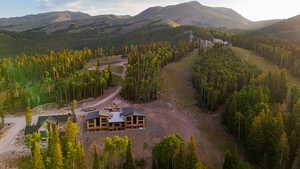 Aerial overview of property's location featuring a forest and a mountain backdrop