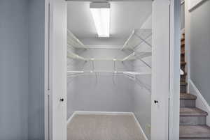 Basement Storage closet