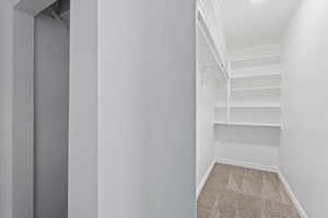 Walk in closet featuring carpet flooring