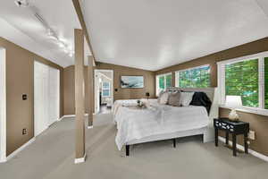 Bedroom featuring light colored carpet, vaulted ceiling, connected bathroom, and rail lighting
