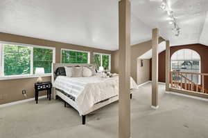 Bedroom featuring carpet, vaulted ceiling, rail lighting, and a textured ceiling