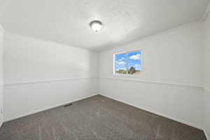 Unfurnished room with ornamental molding, a textured ceiling, and carpet flooring