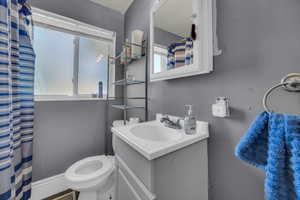 Bathroom with vanity and a shower with curtain