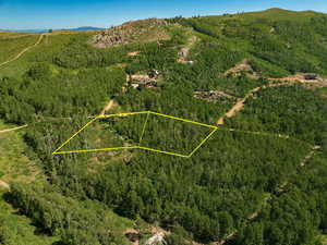 Aerial overview of property's location with a heavily wooded area and property boundaries highlighted