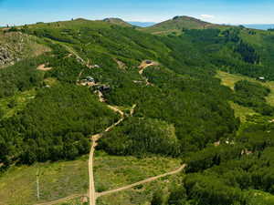 Aerial view of property's location with a mountainous background and a forest