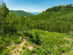 View of mountain backdrop with a heavily wooded area