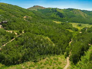 View of mountain backdrop featuring a heavily wooded area