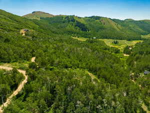 View of mountain background featuring a heavily wooded area