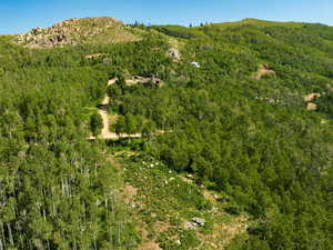 View of mountain backdrop featuring a forest