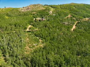 Aerial overview of property's location featuring a mountain backdrop and a forest