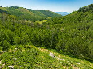 Mountain view featuring a heavily wooded area