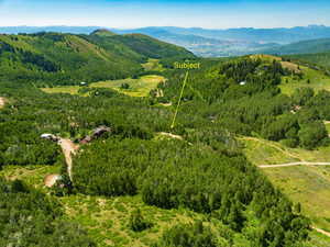 Aerial view of a heavily wooded area and a mountain backdrop