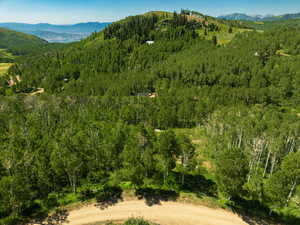View of mountain background with a forest