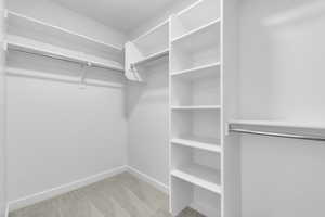 Walk in closet with carpet floors