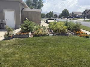 View of grassy yard with a mountain view and a garden