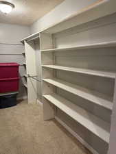 Walk in closet featuring carpet floors