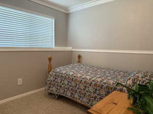 Bedroom featuring carpet flooring and crown molding
