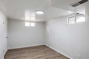 Basement featuring wood finished floors and healthy amount of natural light