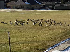 Thanksgiving at Ideal Beach