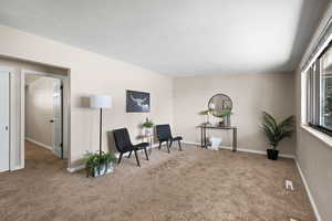 Living area featuring carpet flooring