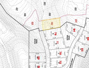 Map showing property parcels