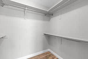 Spacious closet featuring wood finished floors