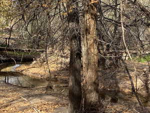 View of local wilderness
