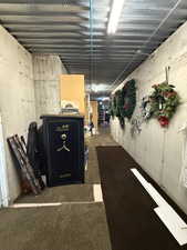 Basement featuring carpet